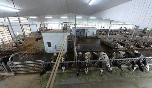 Bosdale Farms 360 Virtual Tour